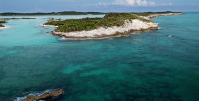 Fly Goose to the Bahamas